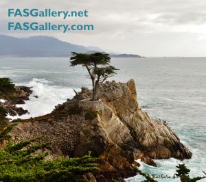 Seascape And Nature Photographer Barbara Snyder Joins FASGallery